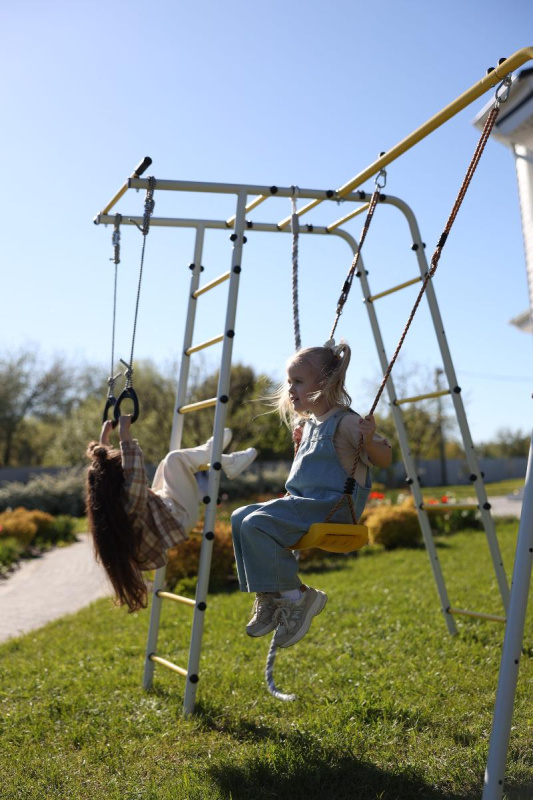 Детский спортивный комплекс для дачи ROMANA Лесная поляна - 3 в Ростове-на-Дону ВИНКО