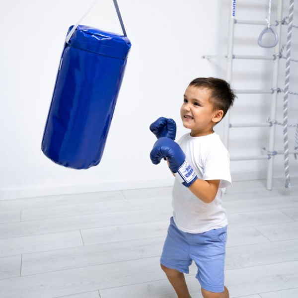 Мешок боксерский в Ростове-на-Дону ВИНКО