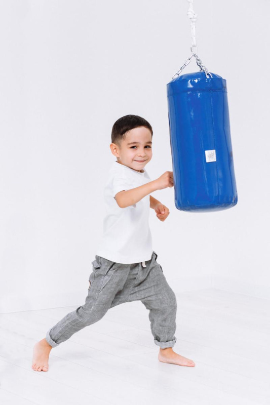 Мешок боксерский в Ростове-на-Дону ВИНКО