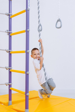 Домашний спортивный комплекс «Шведская стенка ROMANA R4» в Ростове-на-Дону ВИНКО