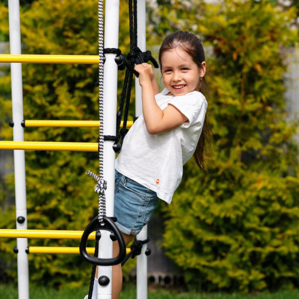 Детский спортивный комплекс для дачи ROMANA Богатырь Плюс 2 MAX в Ростове-на-Дону ВИНКО