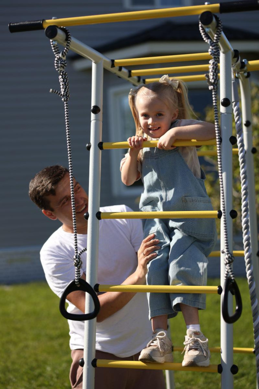 Детский спортивный комплекс для дачи ROMANA Лесная поляна - 3 в Ростове-на-Дону ВИНКО