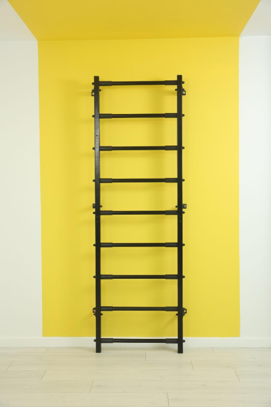 Шведская стенка усиленная (до 250 кг) в Ростове-на-Дону ВИНКО