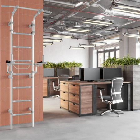 Домашний спортивный комплекс «Шведская стенка ROMANA S10» (pastel)