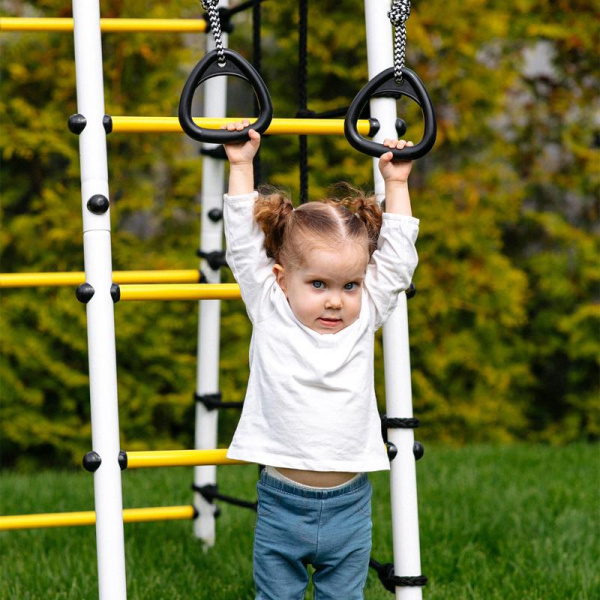 Детский спортивный комплекс для дачи ROMANA Богатырь Плюс 2 MAX в Ростове-на-Дону ВИНКО