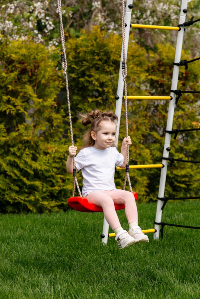 Детский спортивный комплекс для дачи ROMANA Богатырь MAX в Ростове-на-Дону ВИНКО