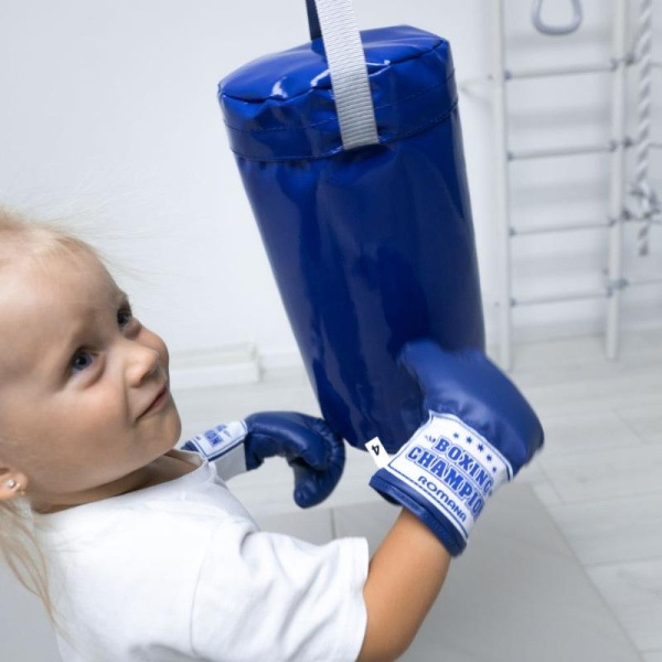 Мешок боксерский в Ростове-на-Дону ВИНКО