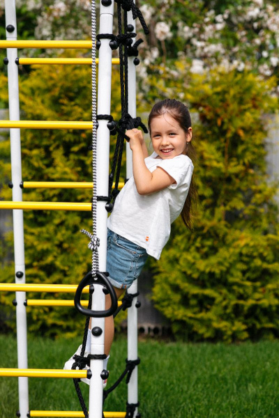 Детский спортивный комплекс для дачи ROMANA Богатырь MAX в Ростове-на-Дону ВИНКО